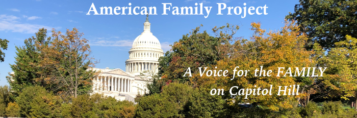 American Family Project logo